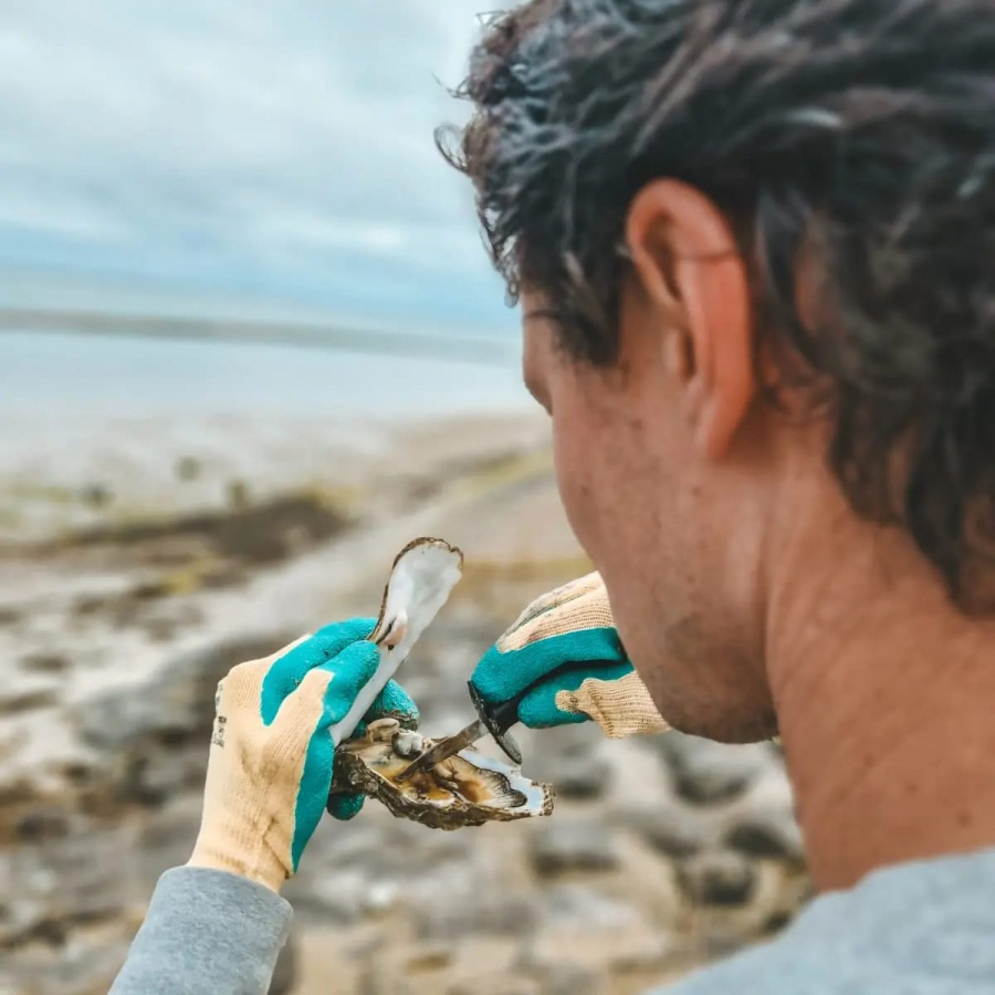 oesters rapen vanuit België