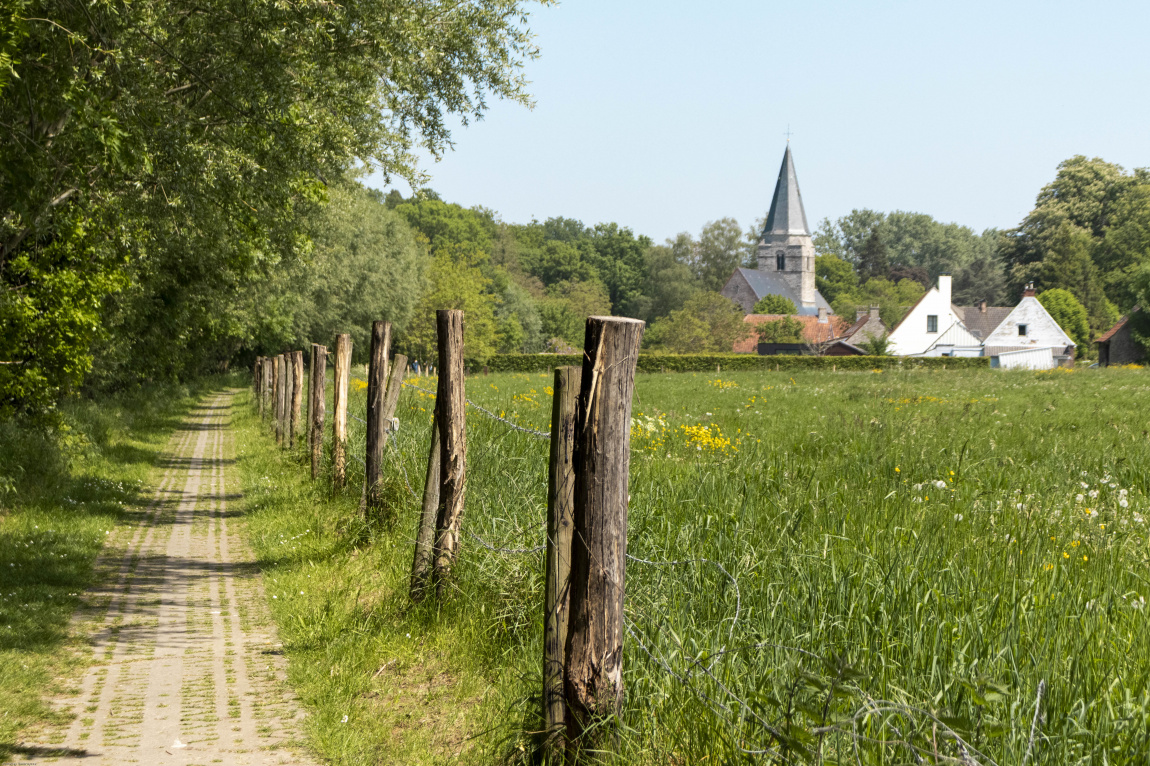 Wandeling Vlaamse Ardennen
